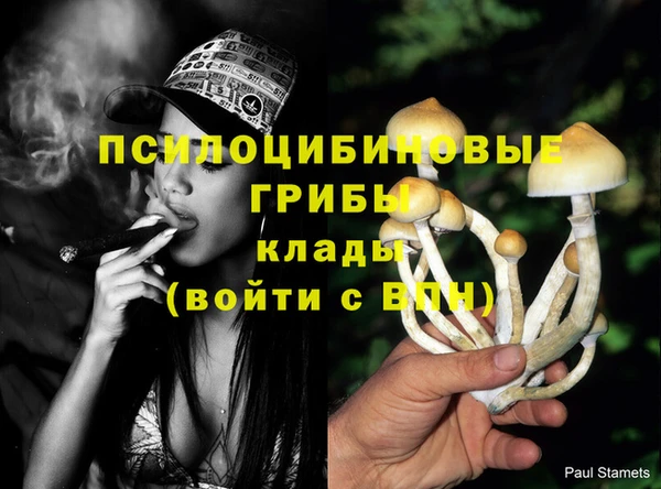 метамфетамин Богородицк